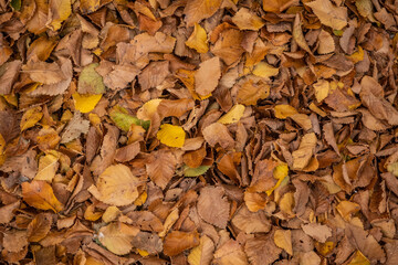 Landscapes of Cordoba
