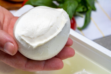 Cheese maker holding in hand fresh handmade soft Italian cheese from Campania, white balls of buffalo mozzarella cheese made from cow milk in container with water