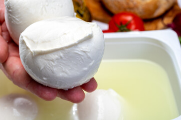 Cheese maker holding in hand fresh handmade soft Italian cheese from Campania, white balls of...