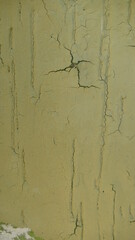 Texture, muro, legno, verde, foglie, metalli
