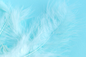 turquoise vintage color trends chicken feather texture background