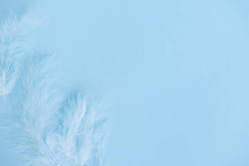 Blue background with blue bird's feathers, copy space