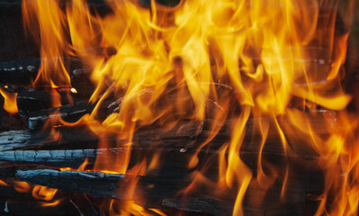 Pile of firewoods in the fire flames in the roaster closeup. Picnic concept