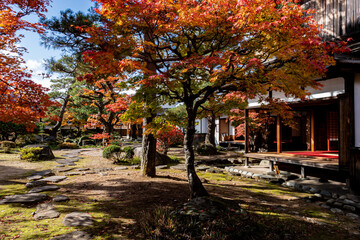 飛騨高山の秋(HIDA TAKAYAMA)