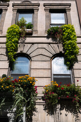 Fototapeta na wymiar Old New York City Residential Building with Beautiful Plants and Flowers along the Window Sills