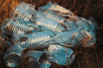 Plastic bottles in the forest.