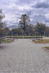 Fototapeta na wymiar park landscaping near Far Eastern federal university