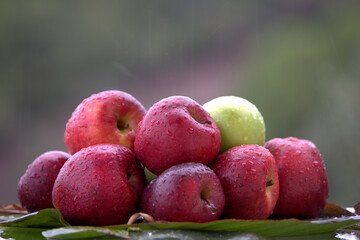 Fresh juicy apples with raindrops, on green leaves in nature.