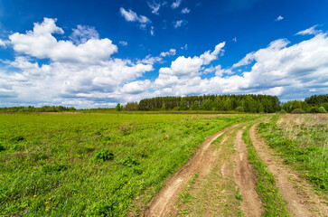 Fototapeta na wymiar Countryside field natural background. Green grass and blue sky. Cloud scape in sunny day. Russia.