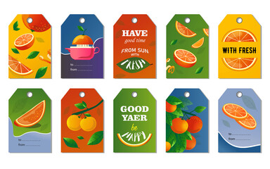 Citrus tags set. Whole and cut fruits, orange tree branches vector illustrations with text. Food and drink concept for fresh bar labels, greeting cards, postcards design