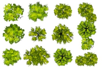 Collection of abstract watercolor green tree top view isolated on white background  for landscape plan and architecture layout drawing, elements for environment and garden, green grass illustration 
