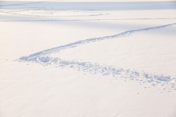 human footprints in the fresh snow