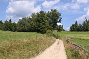 Obraz premium Panoramic view on Gorce Mountains in southern Poland in summer with green pine hills and meadows with grass on a sunny day with blue sky and clouds