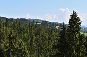 Panoramic view on Gorce Mountains in southern Poland in summer with green pine hills and meadows with grass on a sunny day with blue sky and clouds