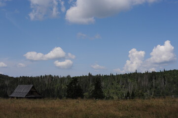 Fototapeta premium Panoramic view on Gorce Mountains in southern Poland in summer with green pine hills and meadows with grass on a sunny day with blue sky and clouds