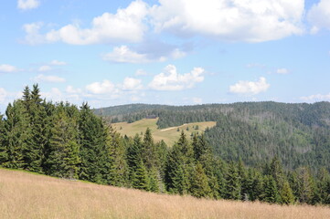 Fototapeta na wymiar Panoramic view on Gorce Mountains in southern Poland in summer with green pine hills and meadows with grass on a sunny day with blue sky and clouds