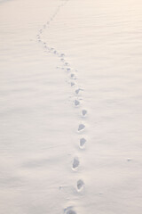 human footprints in the fresh snow