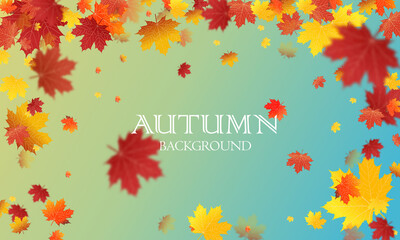Fototapeta na wymiar Autumn season background with falling autumn leaves for text.