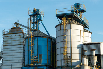 Obraz premium silver silos on agro manufacturing plant for processing drying cleaning and storage of agricultural products, flour, cereals and grain. Large iron barrels of grain. Granary elevator
