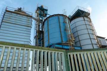 silver silos on agro manufacturing plant for processing drying cleaning and storage of agricultural products, flour, cereals and grain. Large iron barrels of grain. Granary elevator