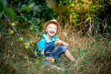 Naklejka na ściany i meble happy boy six years old in blue clothes and hat sitting on the grass in a garden with Apple trees