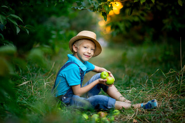 happy boy six years old sits on the grass in an Apple orchard and holds an Apple in his hands