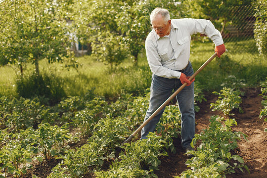 Senior gardener is enjoying his work in garden. Old man in a white shirt.