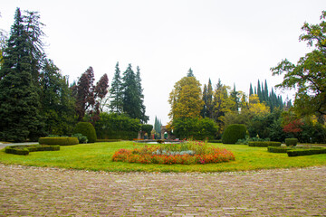 Obraz premium Park and garden in Tsinandali, Georgia. Autumn park landscape.