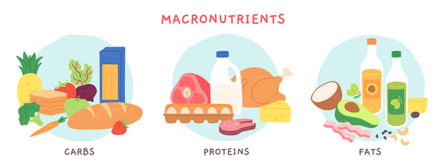 Food macronutrients. Fat, carbohydrate and protein foods groups with fruits and dairy products. Nutrient complex diet vector infographic. Illustration eating ingredient, grocery nutrition for cooking