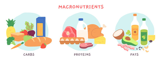 Food macronutrients. Fat, carbohydrate and protein foods groups with fruits and dairy products. Nutrient complex diet vector infographic. Illustration eating ingredient, grocery nutrition for cooking - obrazy, fototapety, plakaty