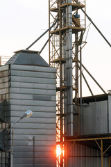 silver silos on agro manufacturing plant for processing drying cleaning and storage of agricultural products, flour, cereals and grain. Large iron barrels of grain. Granary elevator