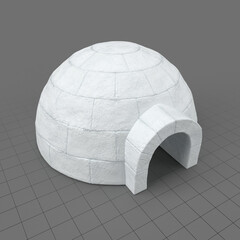 Igloo