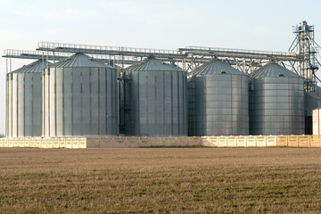 silver silos on agro manufacturing plant for processing drying cleaning and storage of agricultural products, flour, cereals and grain. Large iron barrels of grain. Granary elevator