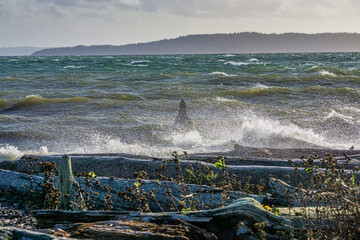 Windy Shoreline Waves