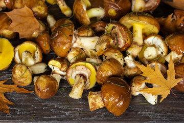 forest mushrooms and yellow leaves on a wooden background close-up. autumn background with mushrooms.