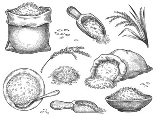 Hand drawn rice flour. Retro engraving cereal spikelets of wheat, rye, barley, basmati or jasmine rice. Grains in sack and scoop vector set. Illustration rice engraving meal, collection heap seeds