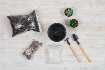 Transplanting cacti. Gardening tools shovel, rake, pot, cacti, cacti on a white wooden background....