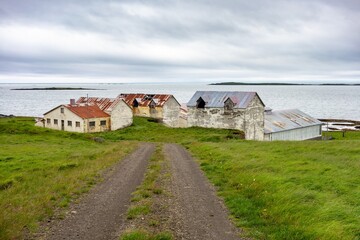 Small farm with few buildings in Icelandic landscape with green grass and ocean in background