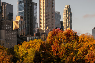 New York City - USA - Oct 31 2020: Beautiful Foliage Colors of New York Central Park