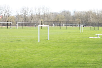 soccer ball on the field