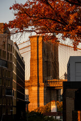 New York City - USA - Nov 4 2020: Beautiful Foliage Colors of Brooklyn Bridge New York