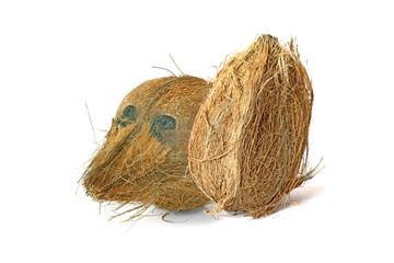 Two tasty coconuts isolated on white