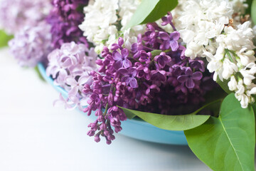 Piękne fioletowe i białe kwiaty bzu na białym tle © mirame111