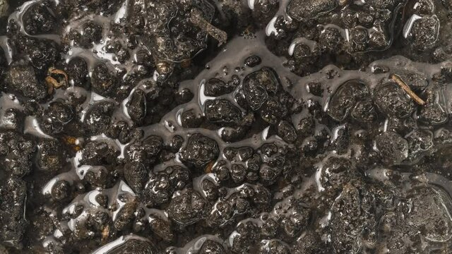 Wet soil undulating closeup footage as texture
