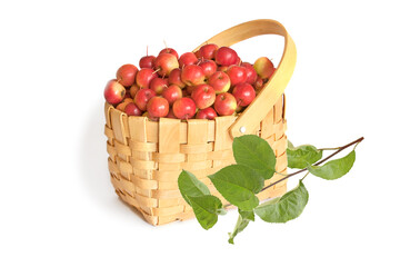 Red heavenly apples in a basket with sprig isolated on white