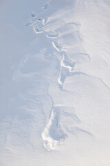 winter background with snow texture closeup