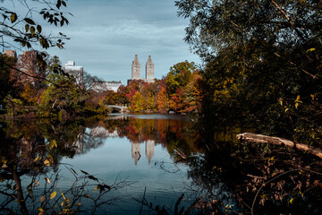 Fototapeta premium New York City - USA - Nov 5 2020: Beautiful Foliage Colors of The San Remo Central Park New York