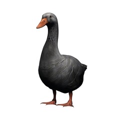 Farm animals - gray goose - isolated on white background - 3D illustration