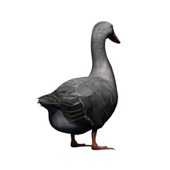 Farm animals - gray goose - isolated on white background - 3D illustration