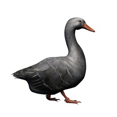 Farm animals - gray goose - isolated on white background - 3D illustration